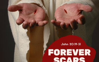 Forever Scars